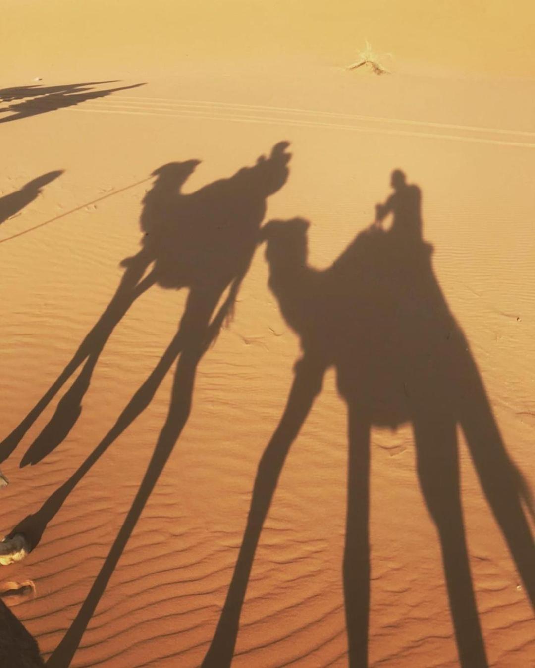 Desert Lover'S Luxury Camp Мерзуга Екстер'єр фото